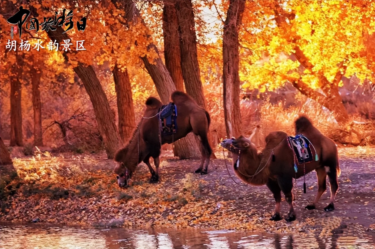 中国旅游日 | 在新疆这些乡村到底玩些啥？这份攻略告诉你